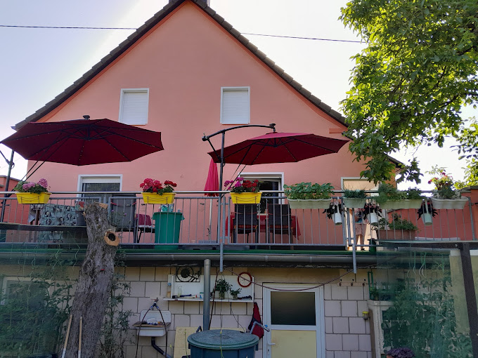 Hausrückseite mit Fassade in Lachsrosa und Terrasse